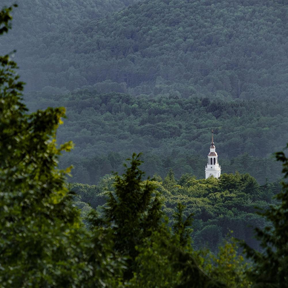 Baker tower through the trees